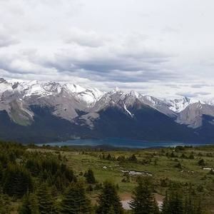 Meet your Posher, Joanne